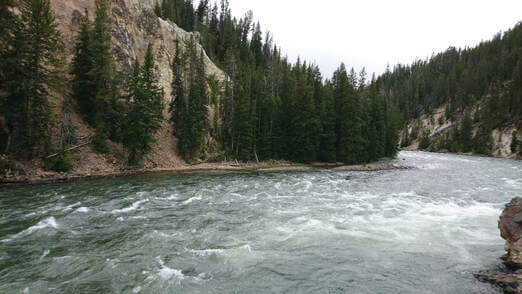 Yellowstone River