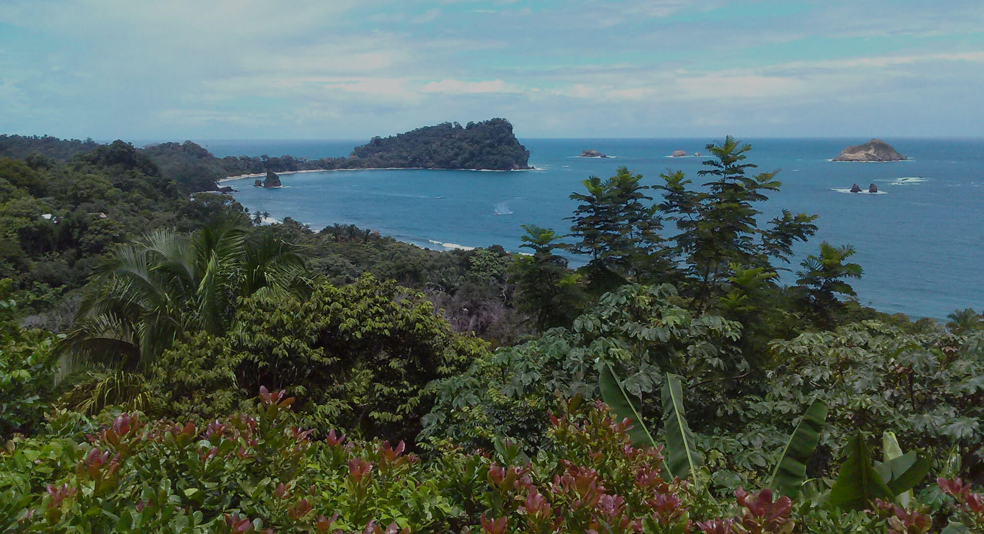 Room with a view Manuel Antonio