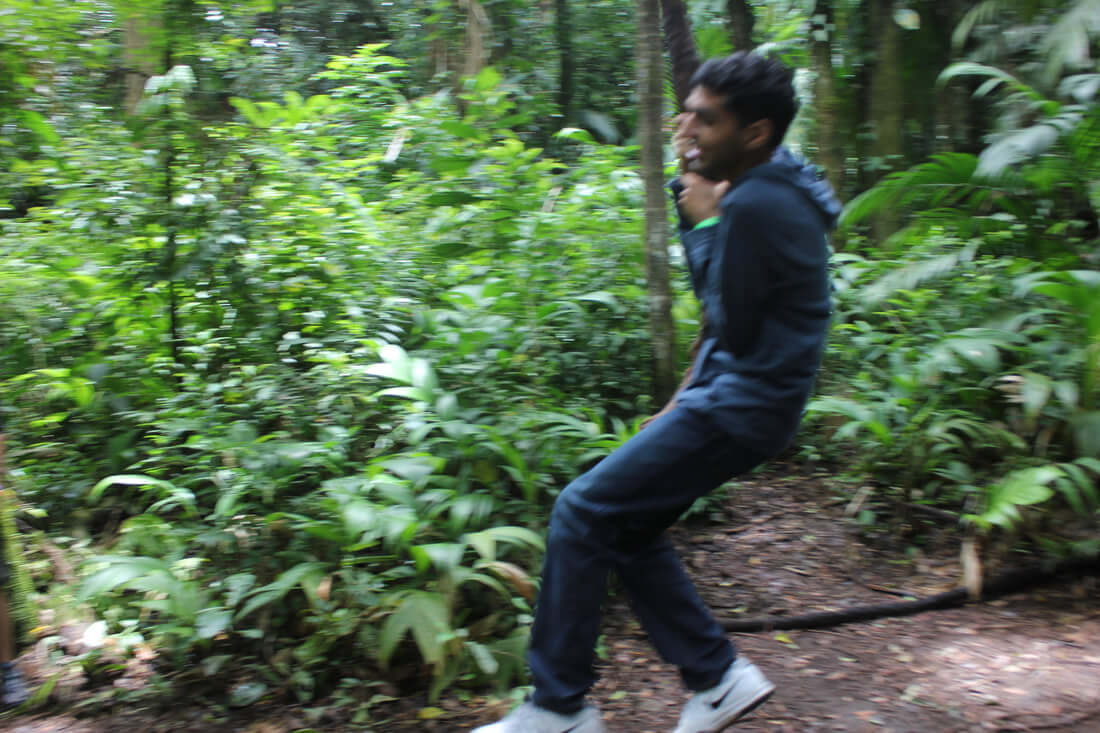 Arenal volcano national park - a swing