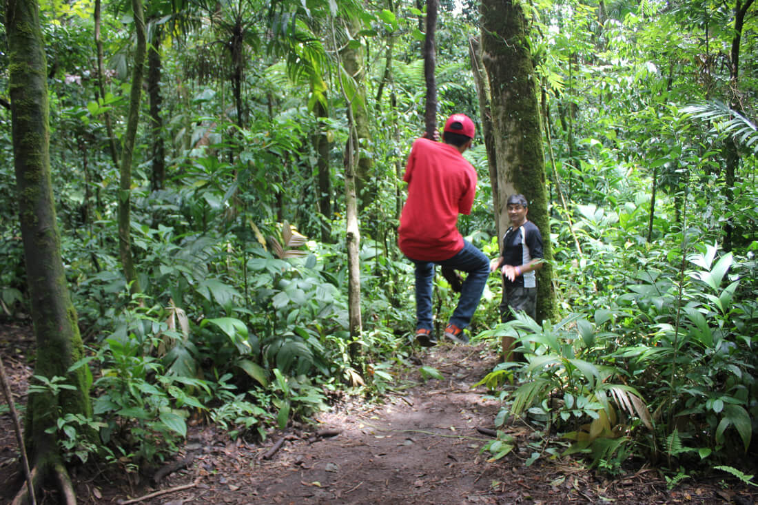 Arenal volcano national park - a swing