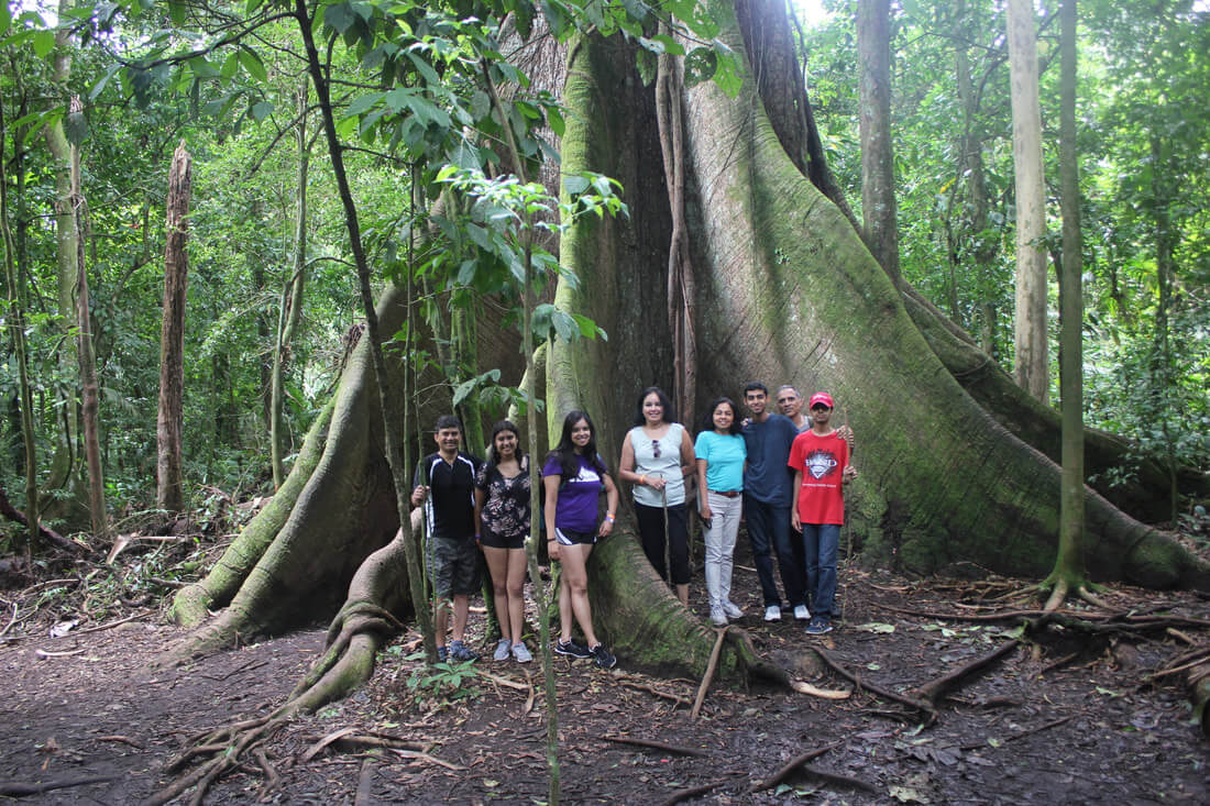 Arenal volcano national park hike