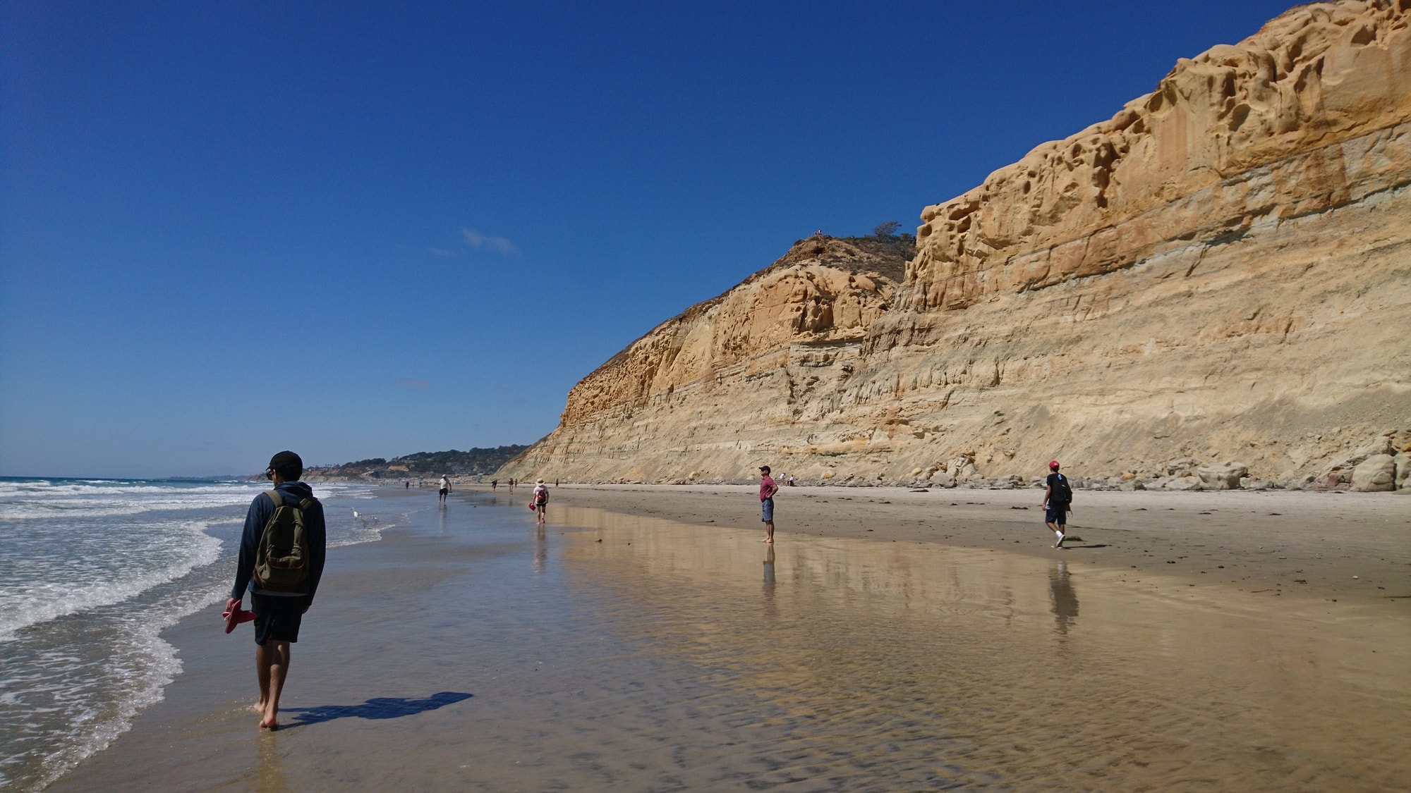 Torrey Pines Beacb