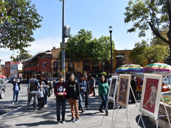 Sat market San Angel