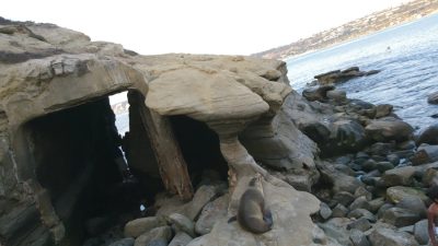 La Jolla Cove