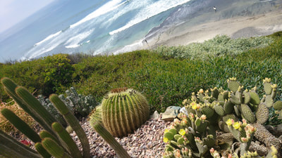 Pacific at Encinitas