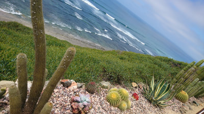 Pacific at Encinitas