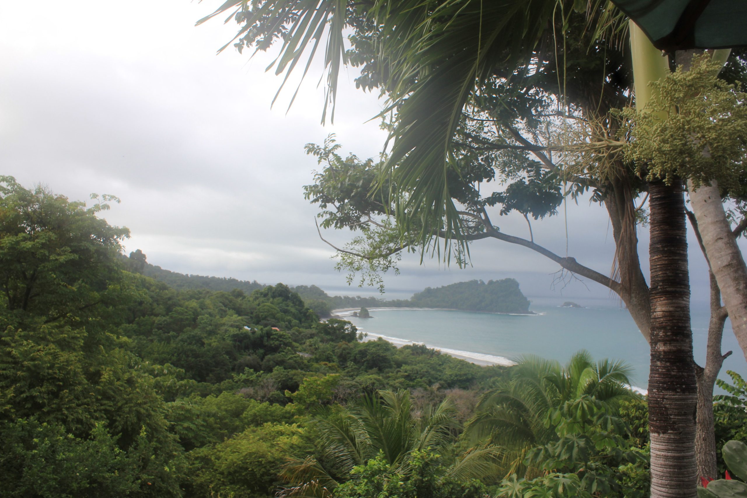 Room with a view - Manuel Antonio