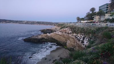 La Jolla Cove