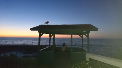 La Jolla Cove