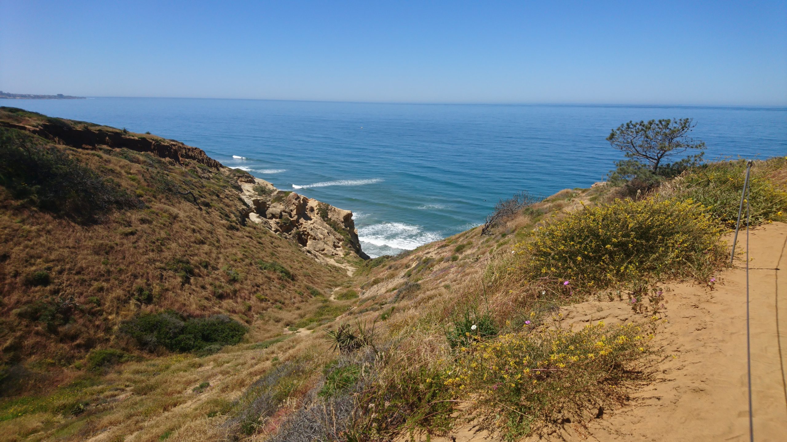 Torrey Pines Natural Preserve Hike