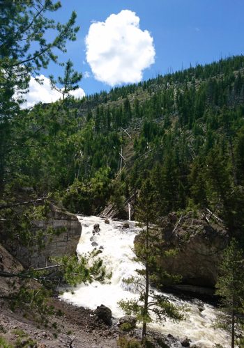 Firehole river