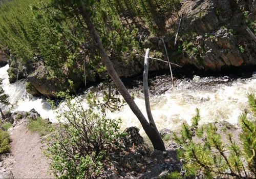 Firehole river