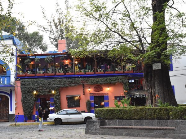 A walk in Coyoacan