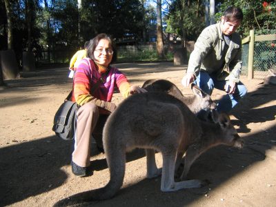 Kangaroo love