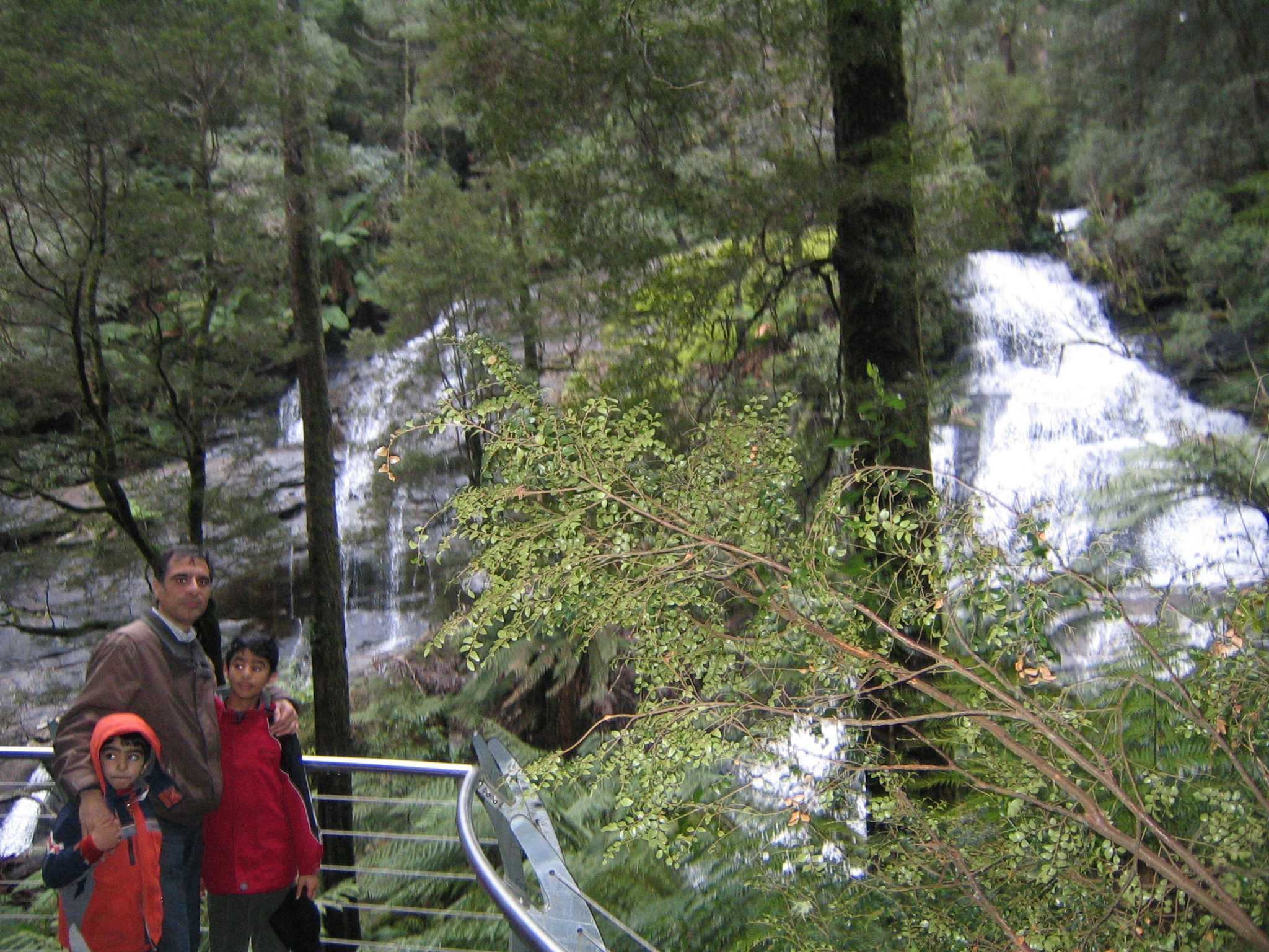 Otway National Park