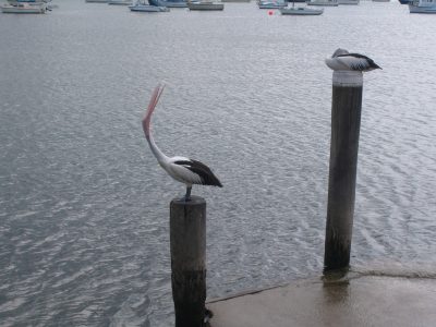 Watsons Bay