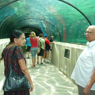 Aquarium Darlingharbor with parents