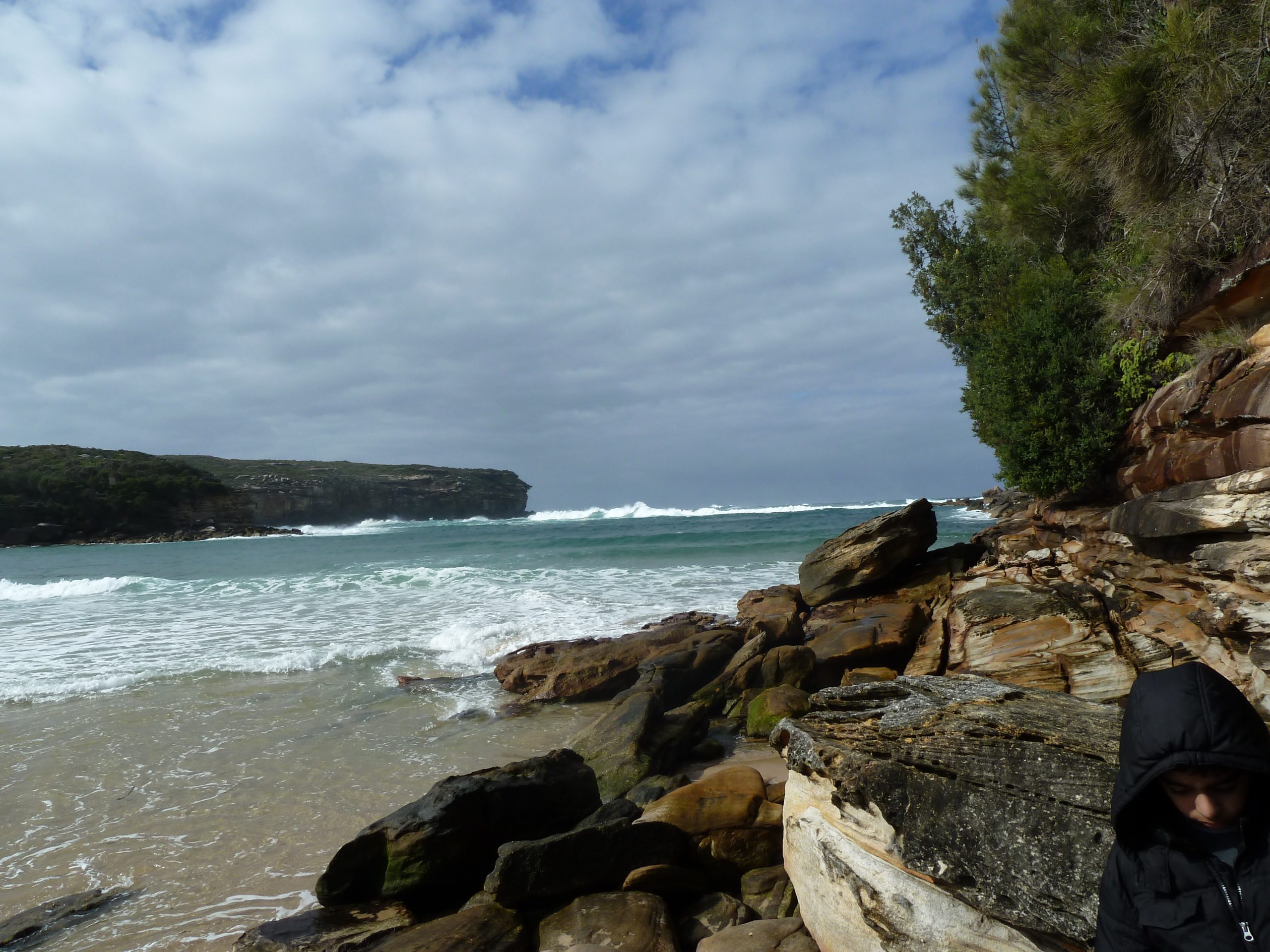 Royal National Park Sydney