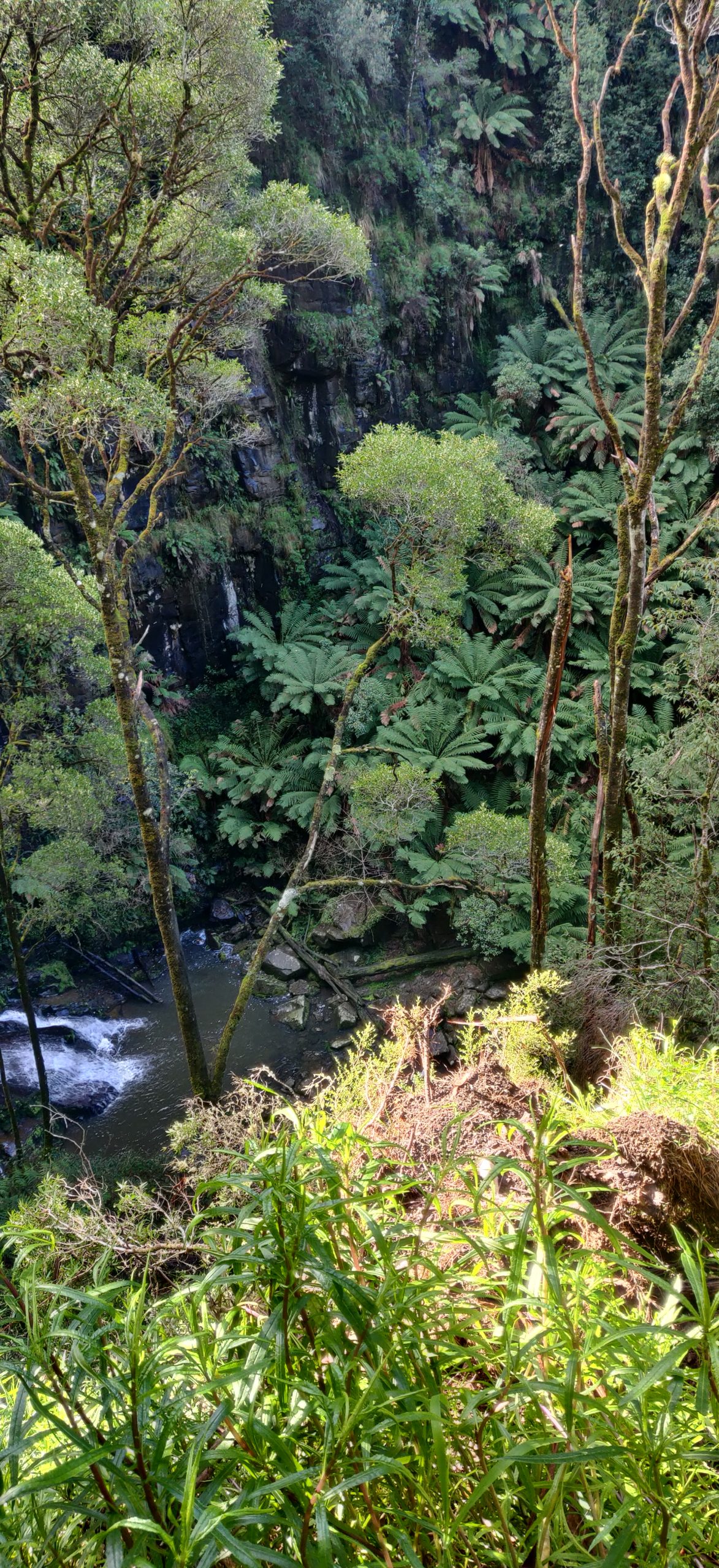 Otway National Park