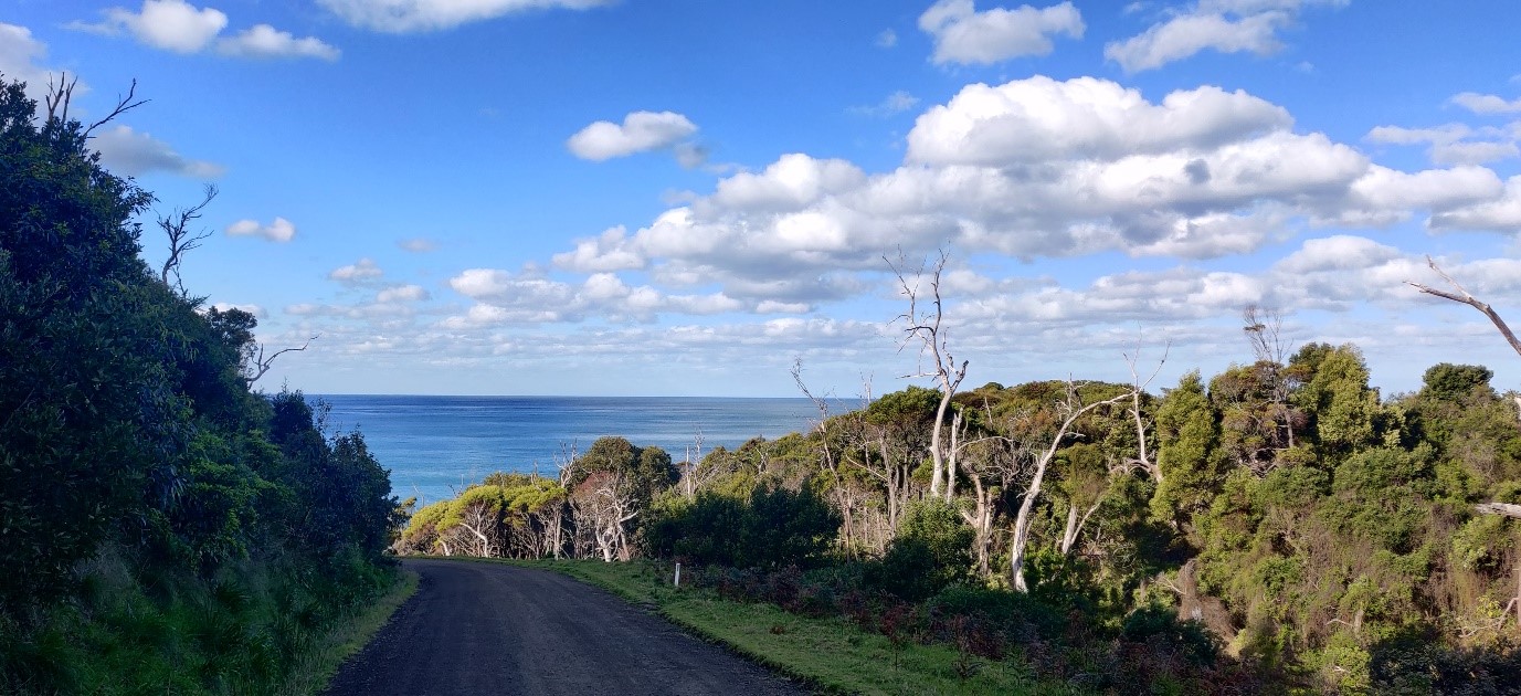 The Great Ocean Road