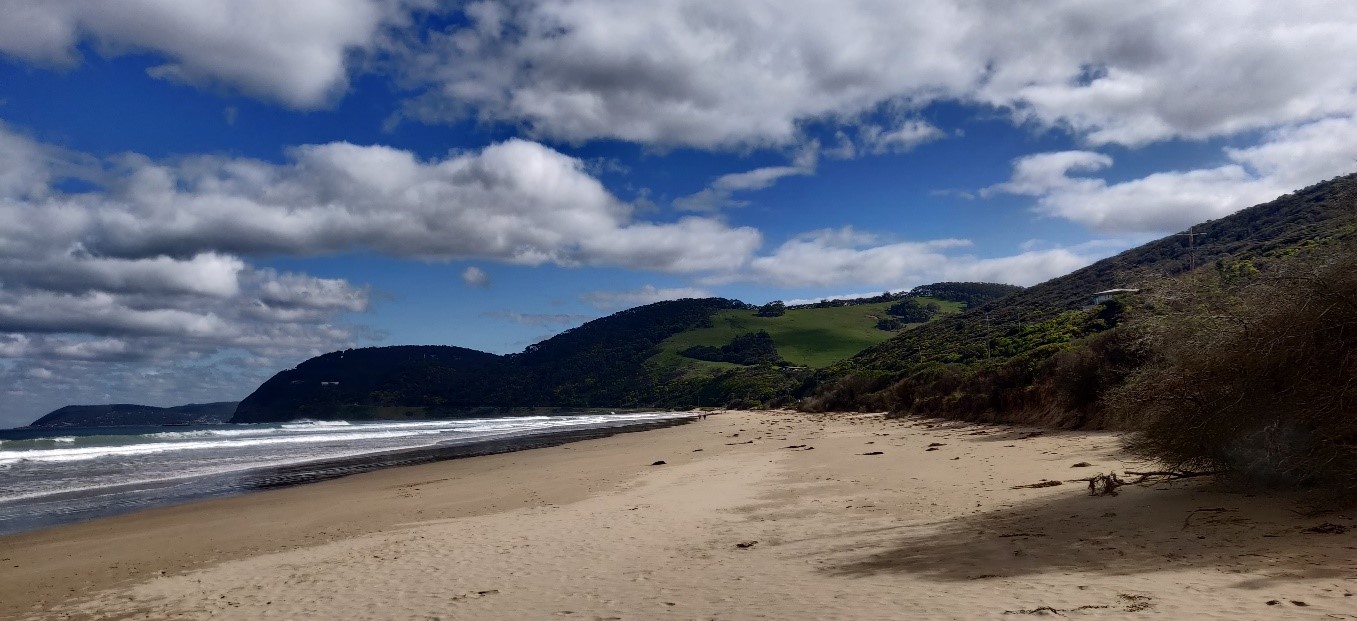 The Great Ocean Road