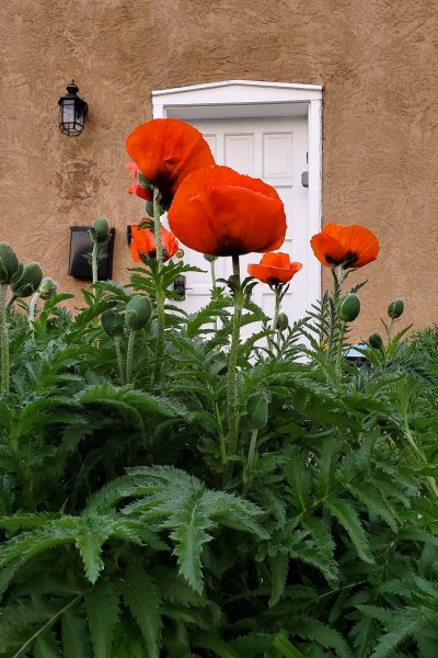 Outside home in Santa Fe