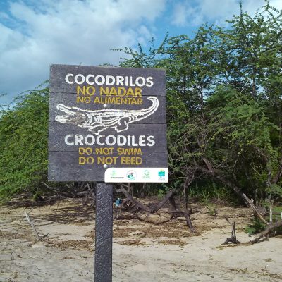 Tamarindo beach