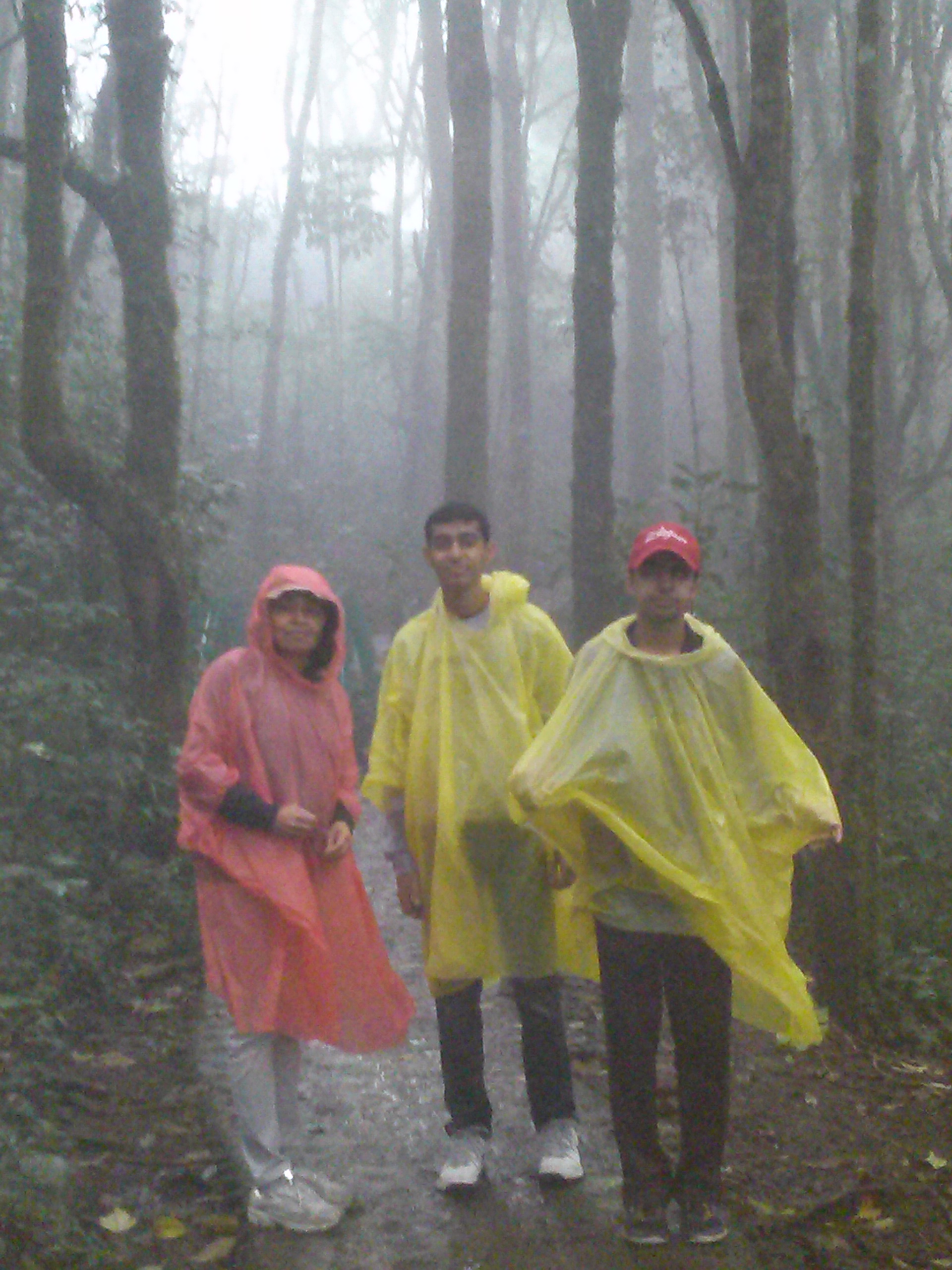 Monteverde Cloud forest