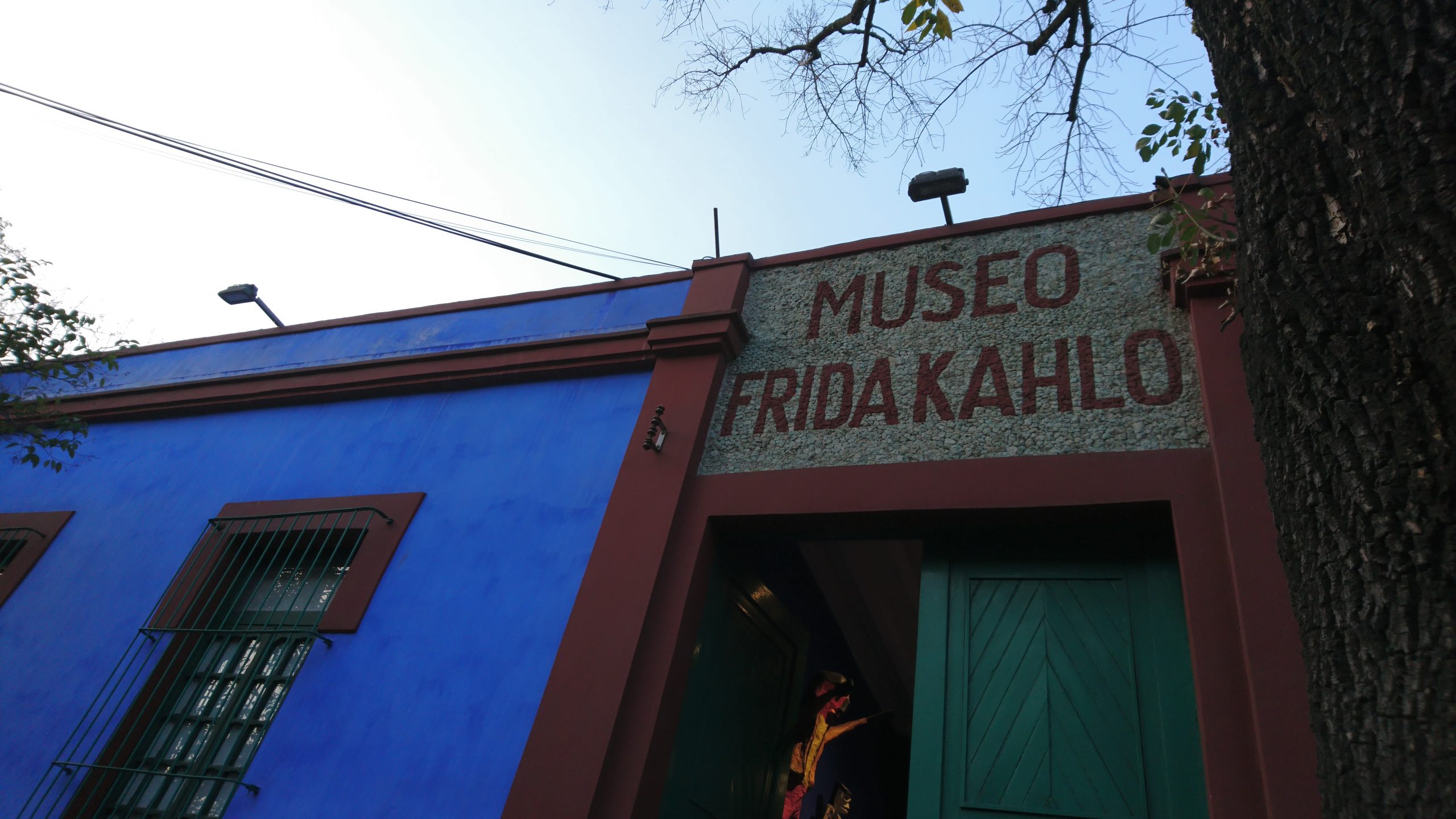 Frida Kahlo House 'n museum