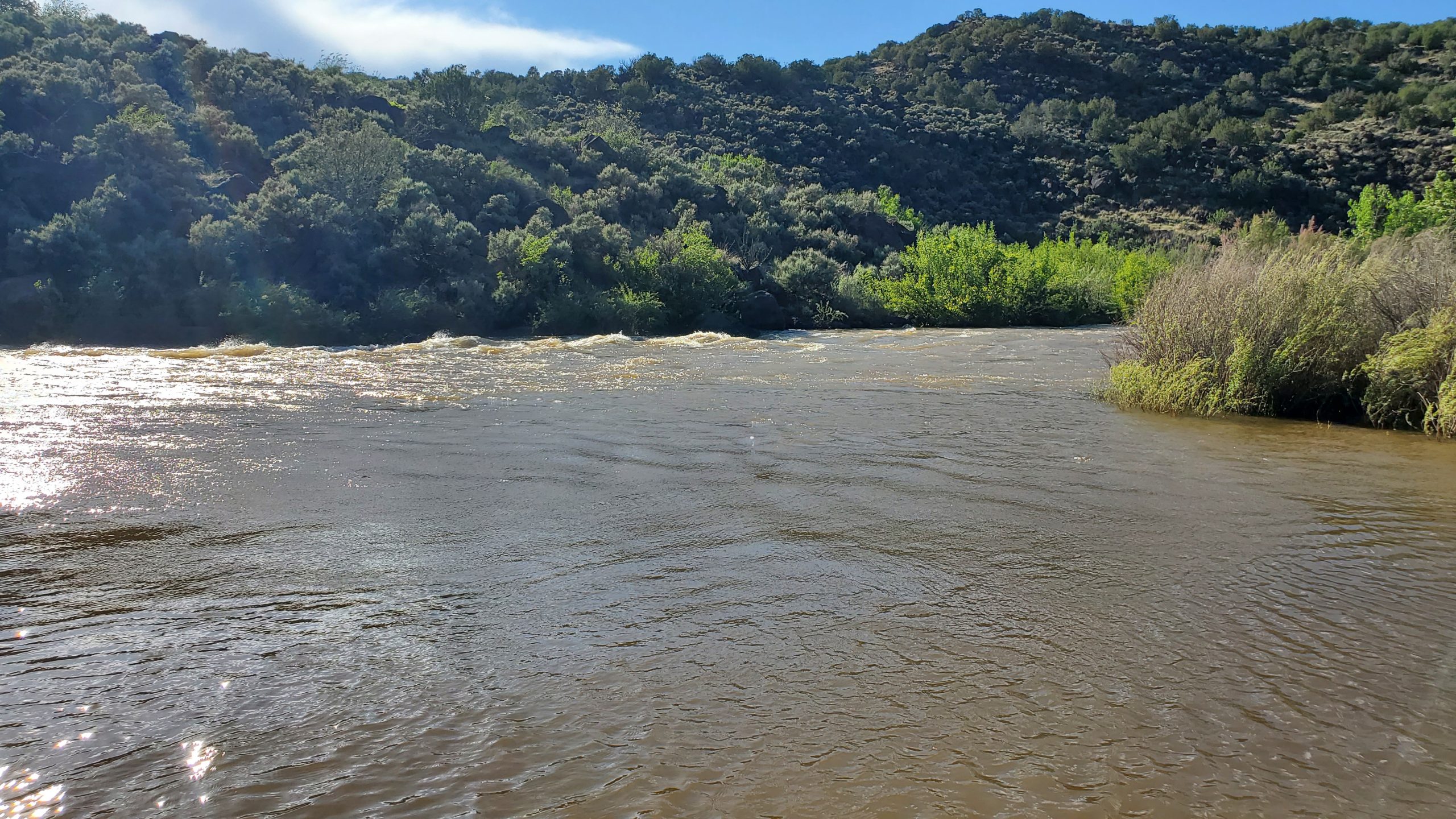 Rio Grande in the Low Road from Taos