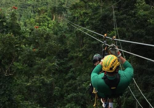 El Yunque Rainforest