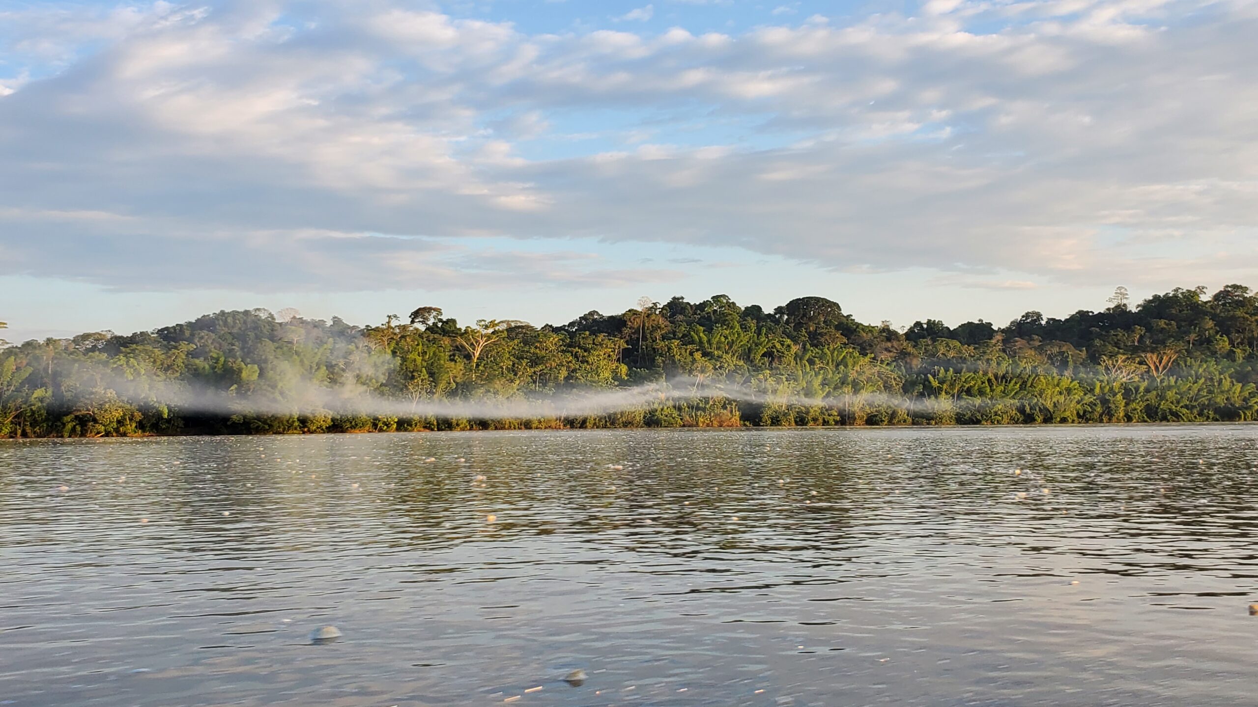 Mist and oil rigging related waste in the river