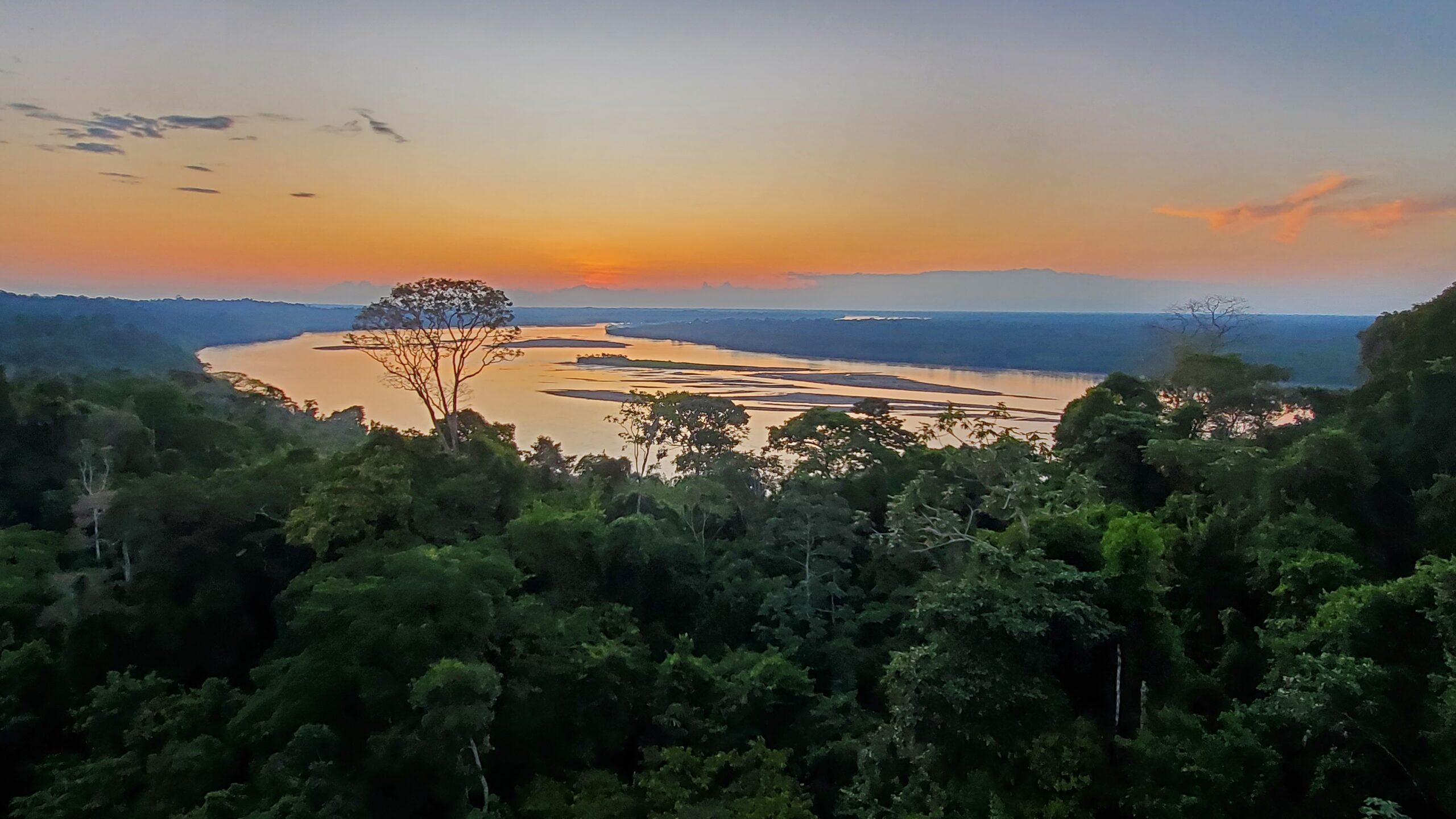 Over the tree canopy