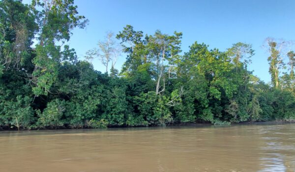 Napo river