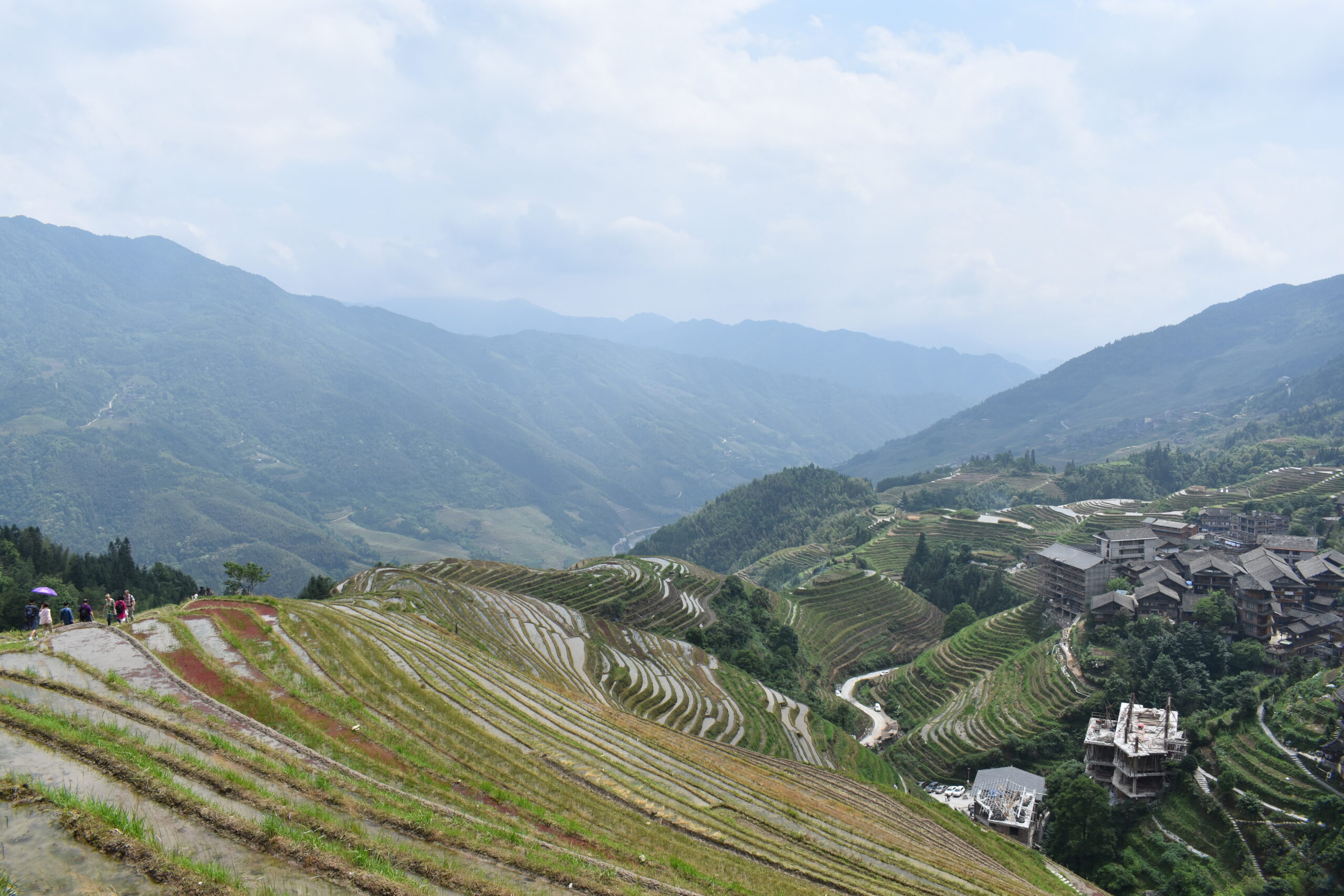 Longji rice terraces