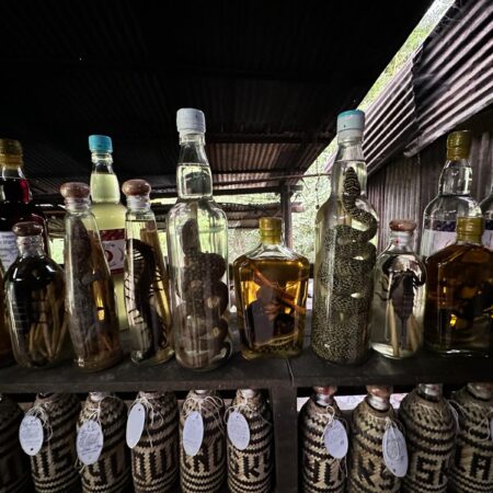 Drinks with creepy crawlies in jars Laos