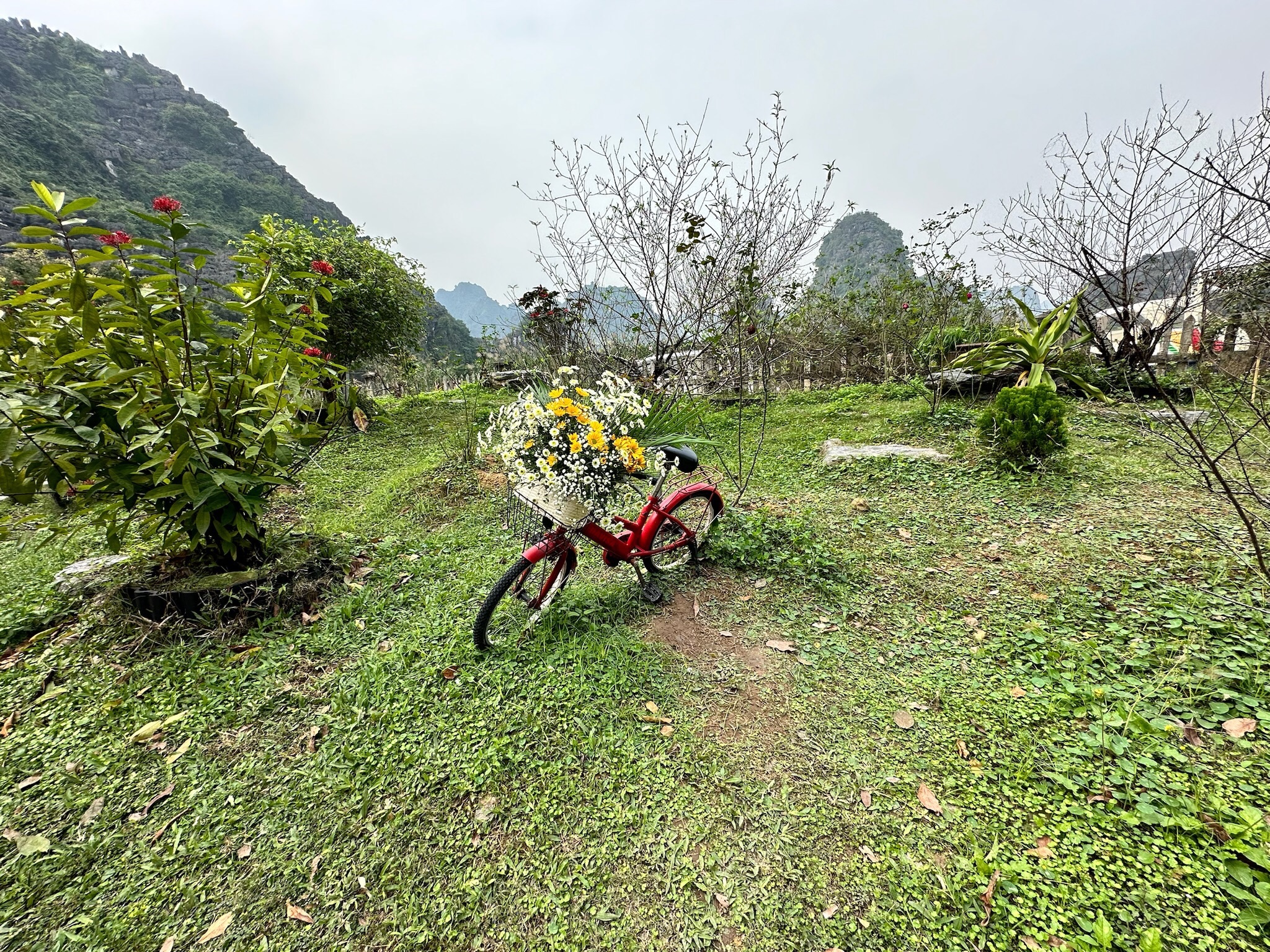 Nin Binh Vietnam