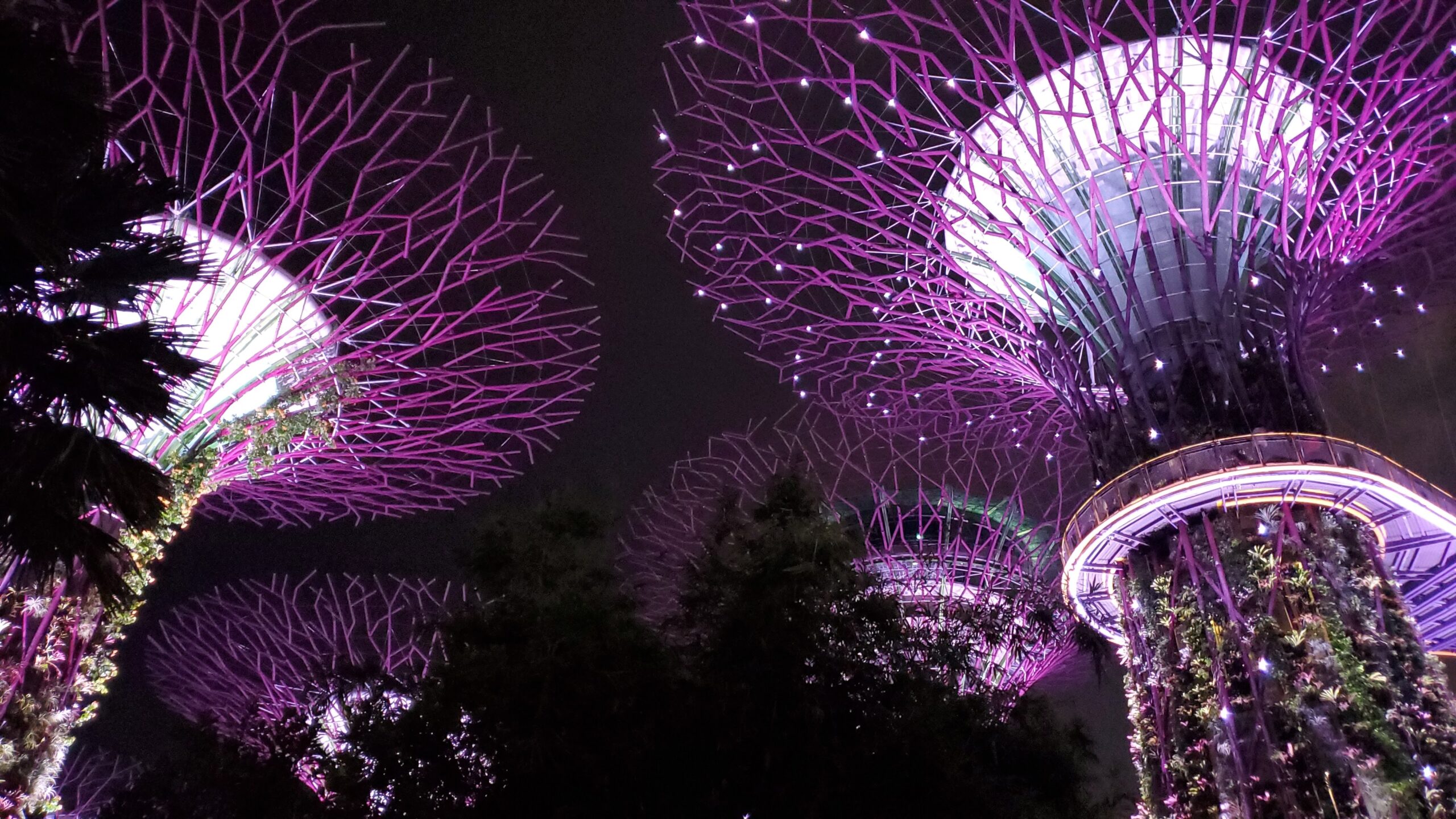 Gardens by the Bay