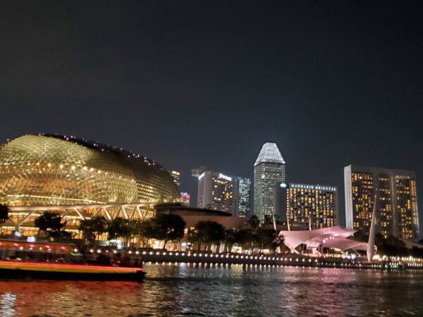 Gorgeous night skyline